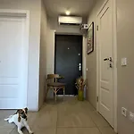 Sunny Appartement