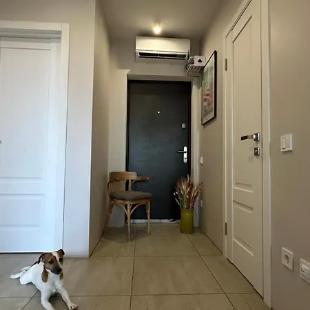 Sunny Apartment