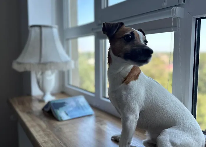 Sunny * オデッサ